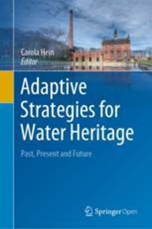 Adaptive Strategies 2019 Springer